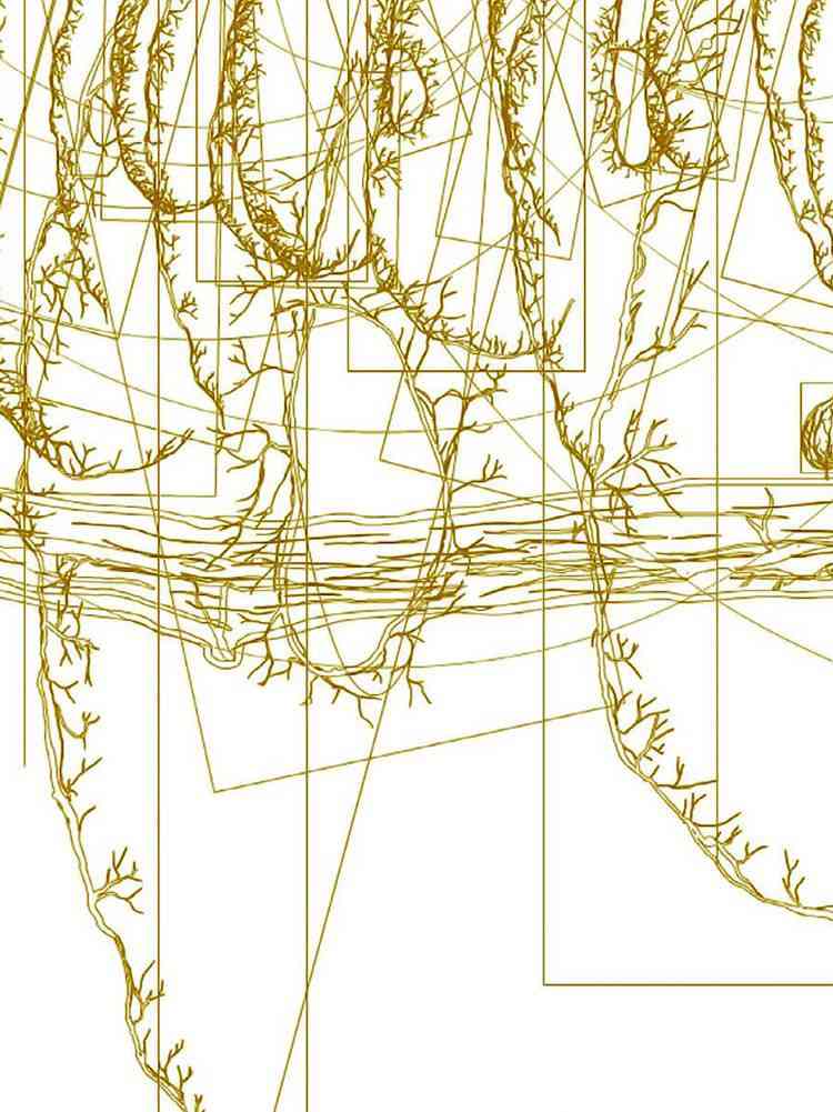 《植物精灵》数字画集 1话 第70页
