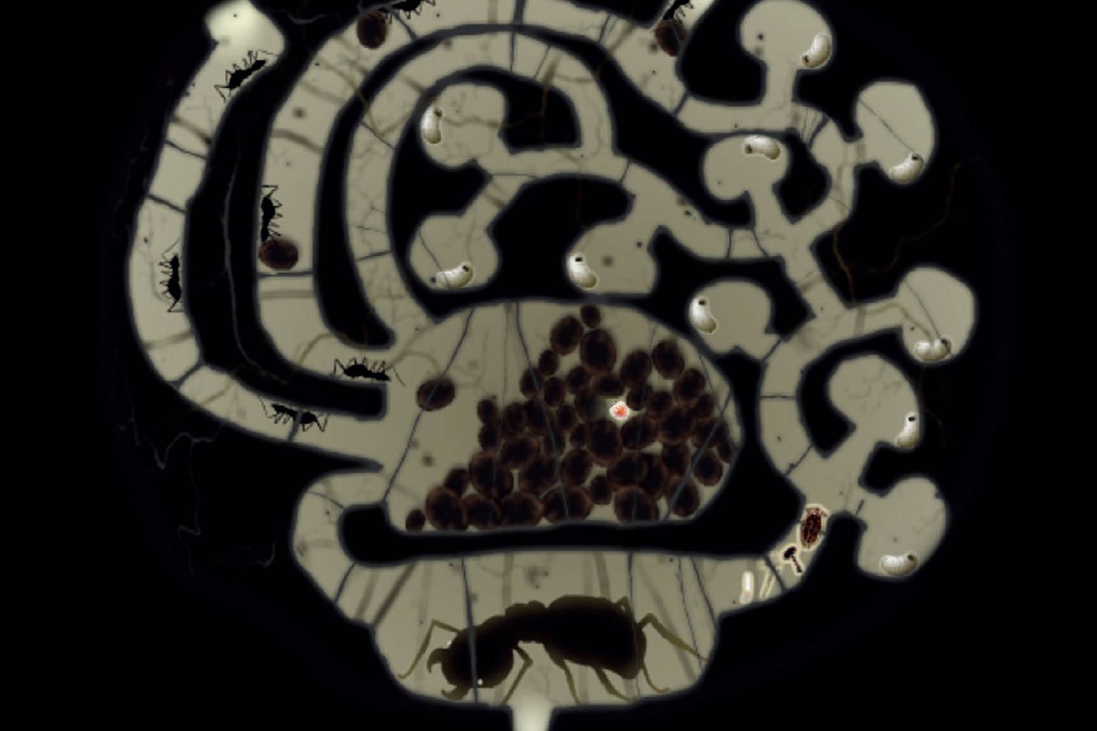 《植物精灵》数字画集 1话 第75页