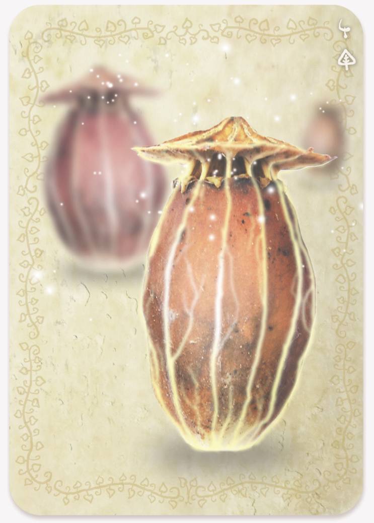 《植物精灵》数字画集 1话 第86页