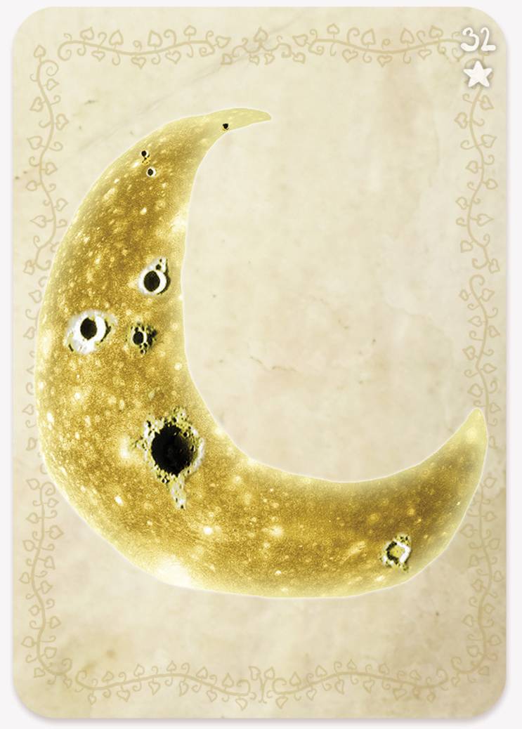 《植物精灵》数字画集 1话 第114页