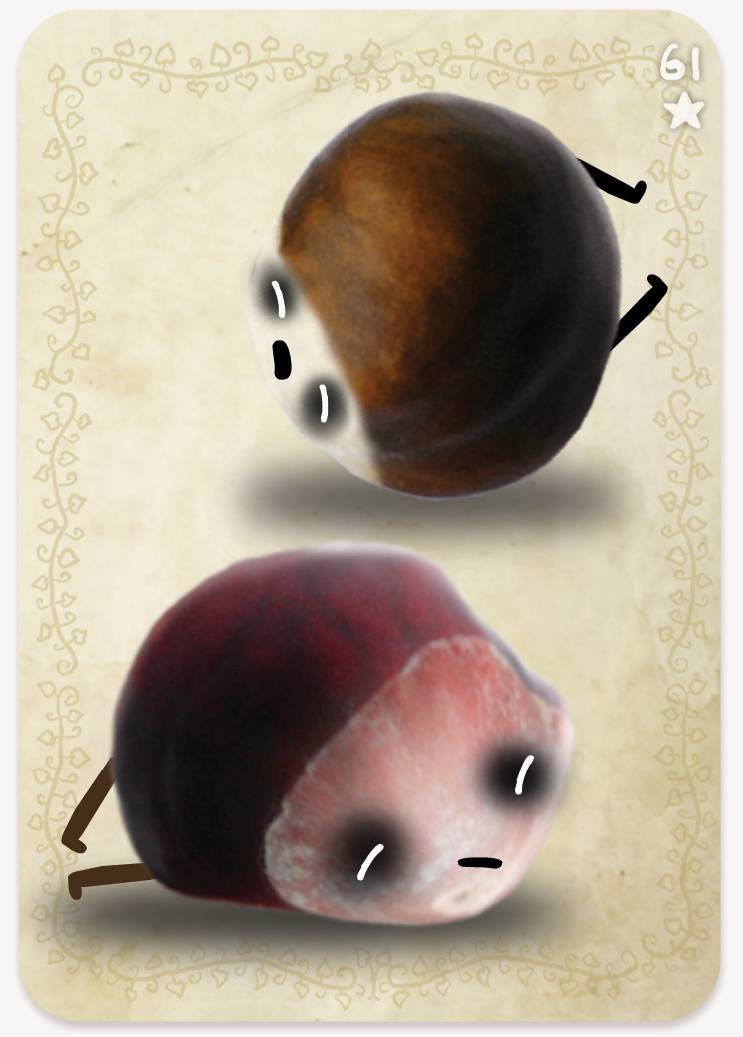 《植物精灵》数字画集 1话 第143页