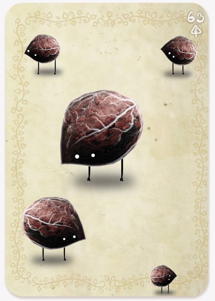 《植物精灵》数字画集 1话 第145页