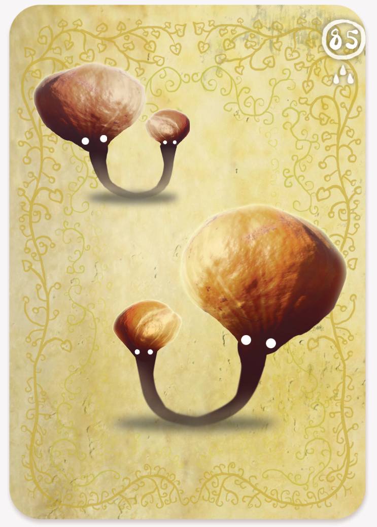 《植物精灵》数字画集 1话 第167页