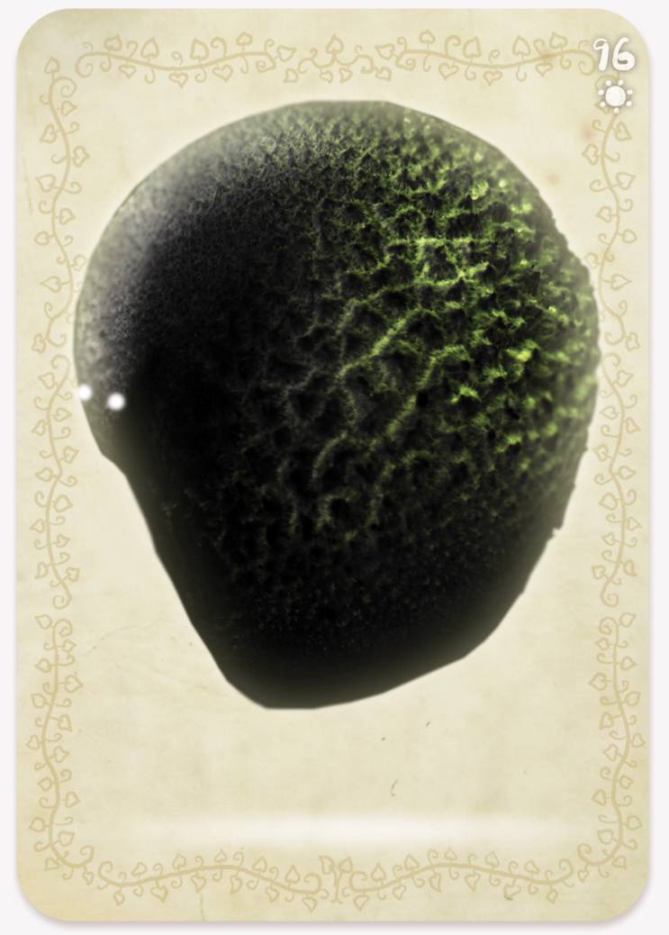 《植物精灵》数字画集 1话 第178页