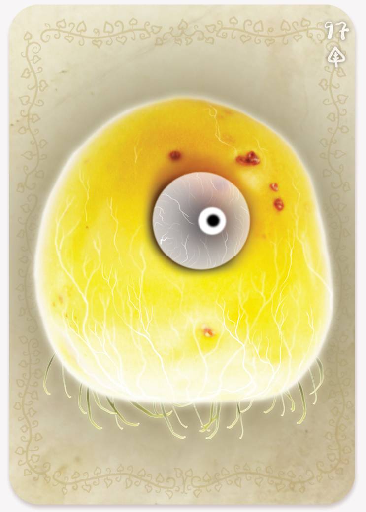 《植物精灵》数字画集 1话 第179页