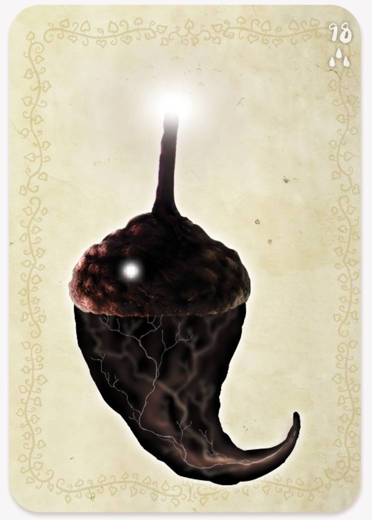 《植物精灵》数字画集 1话 第180页