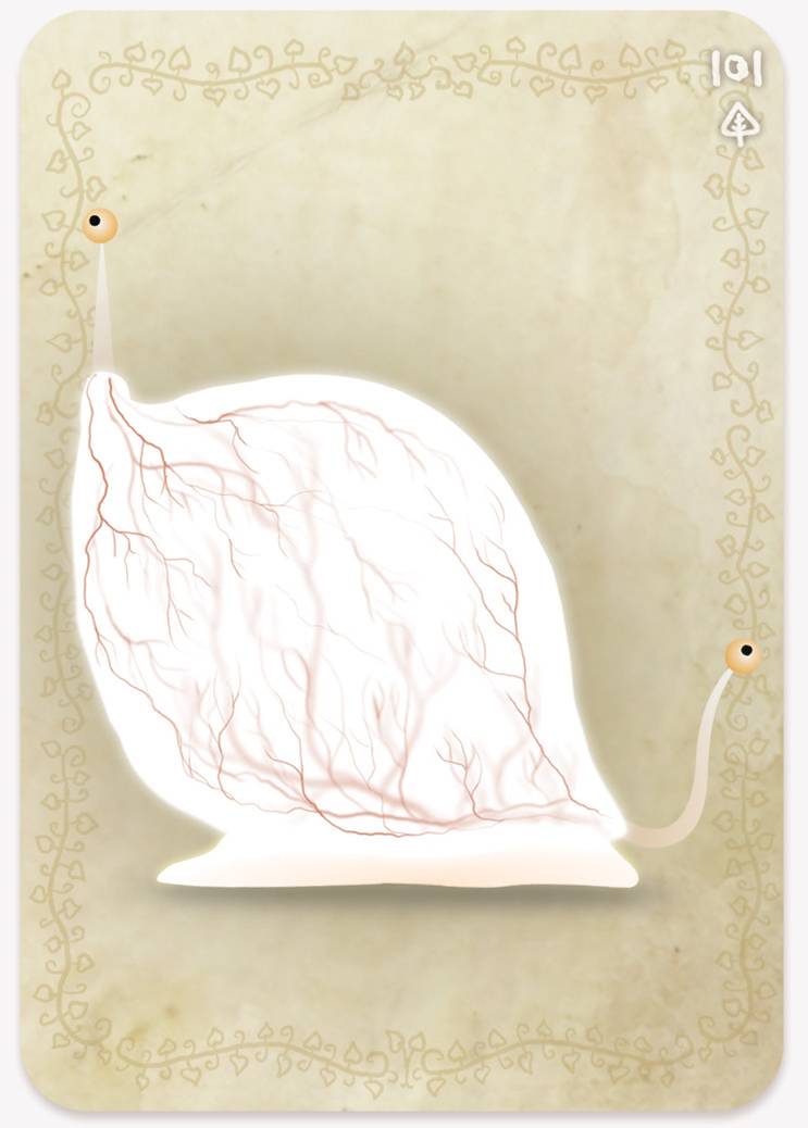 《植物精灵》数字画集 1话 第183页