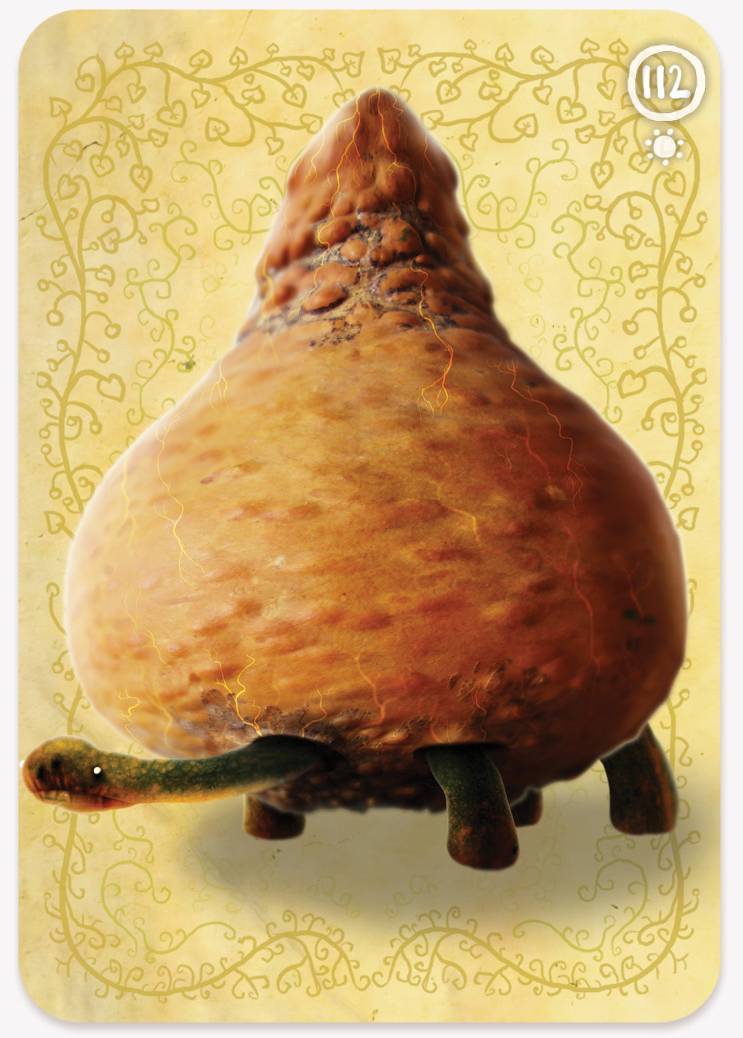 《植物精灵》数字画集 1话 第194页