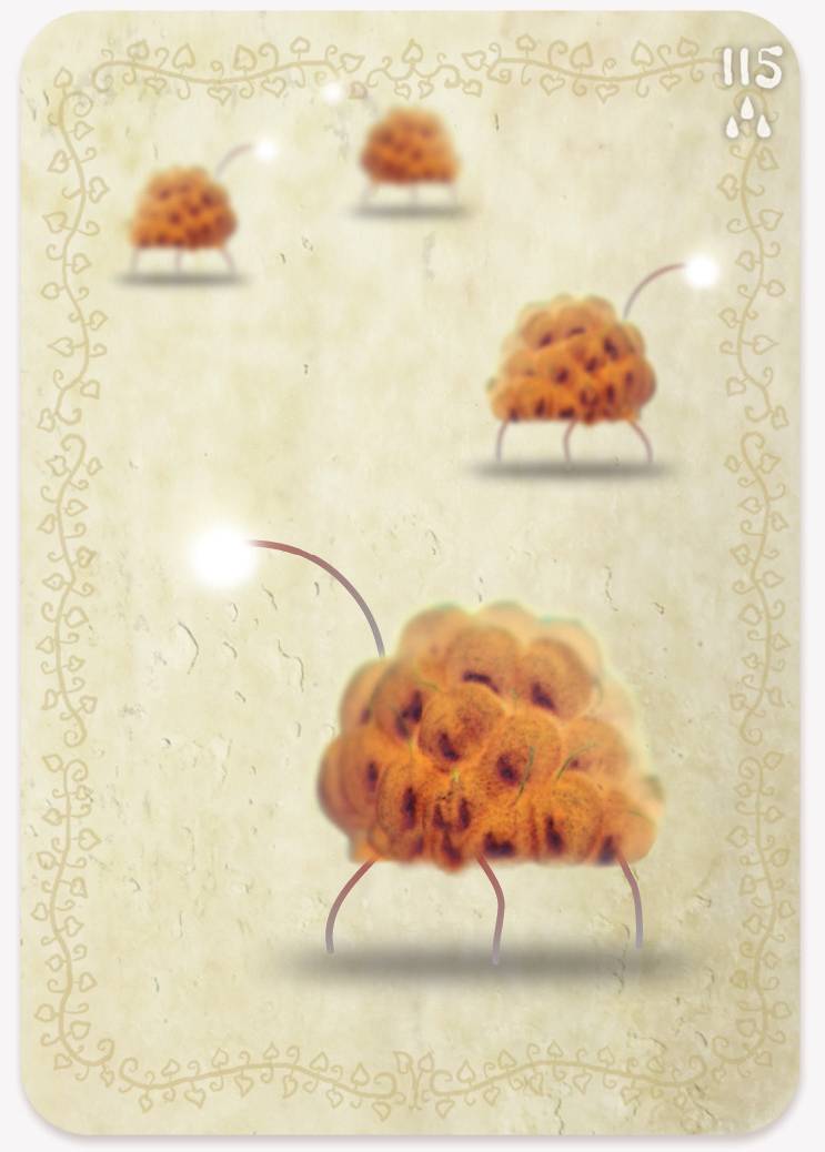 《植物精灵》数字画集 1话 第197页