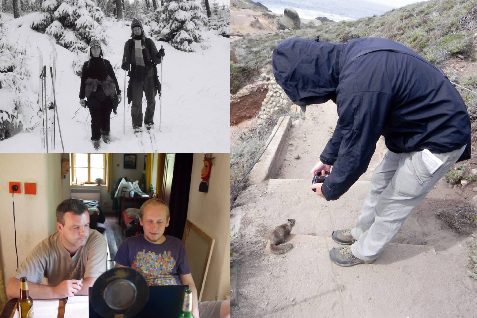 《植物精灵》数字画集 1话 第208页