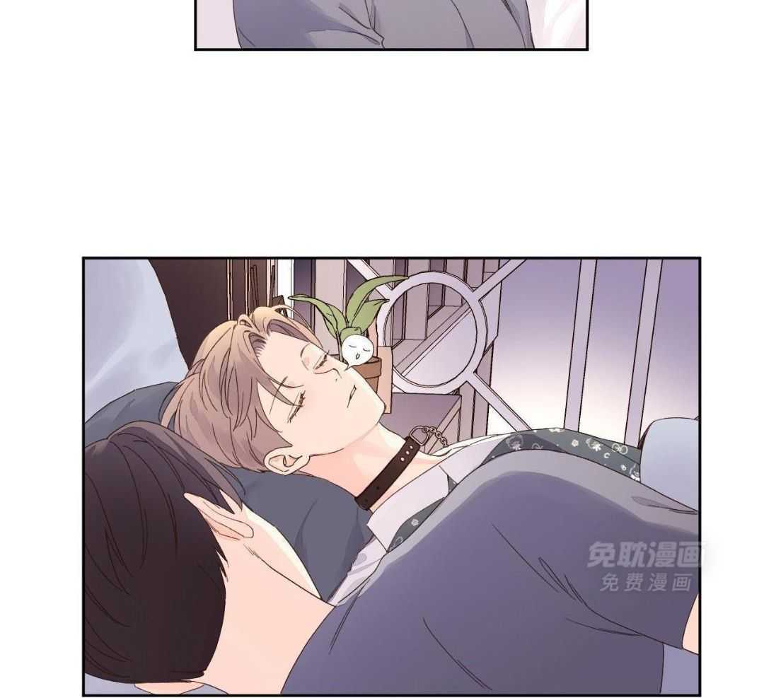 4周恋人第169话图