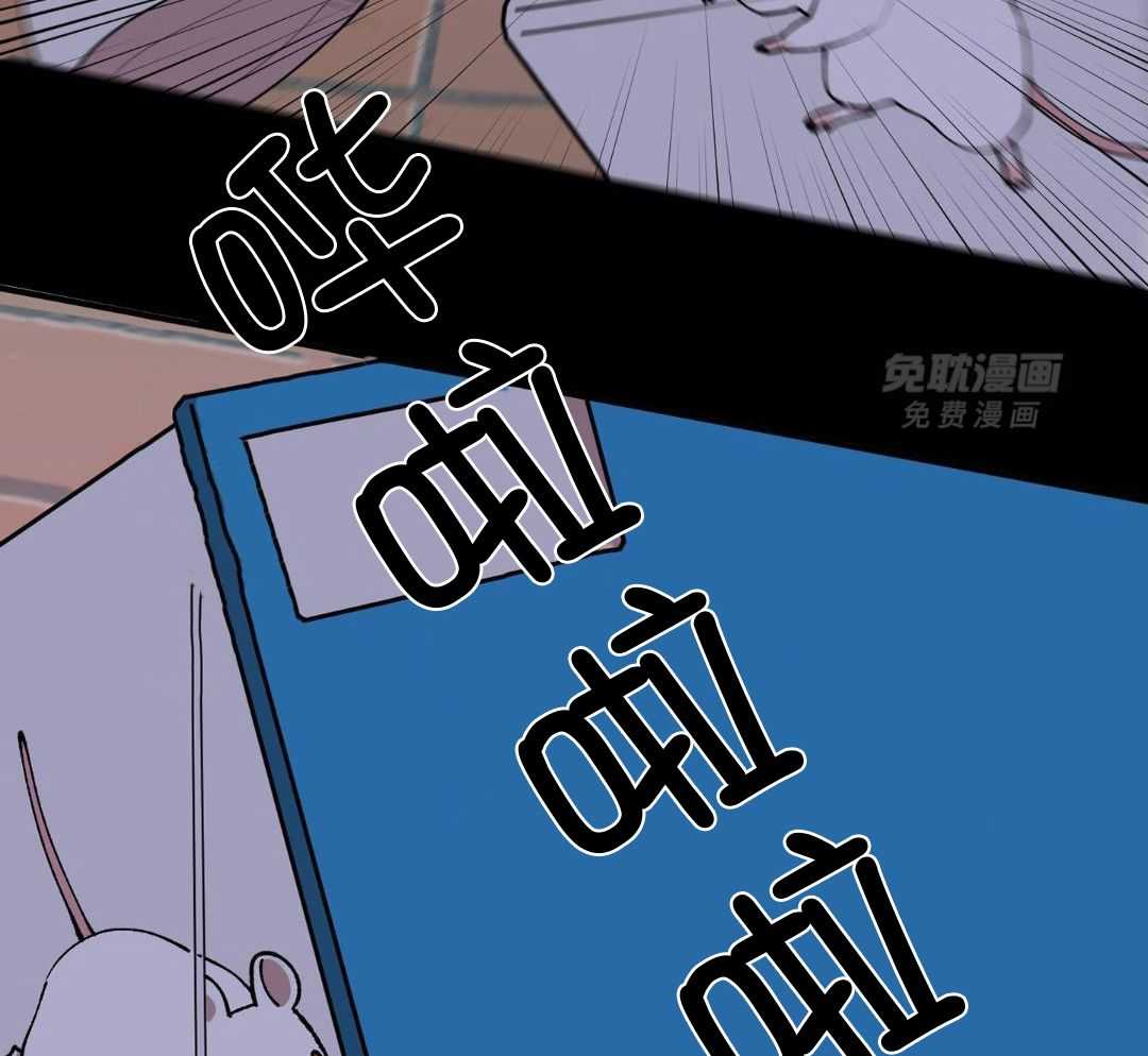 自1为是 第71话 第17页