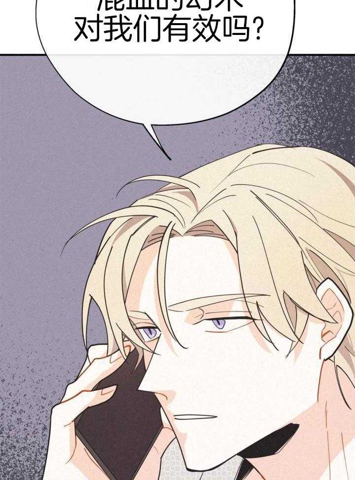 致命诱惑第19话图