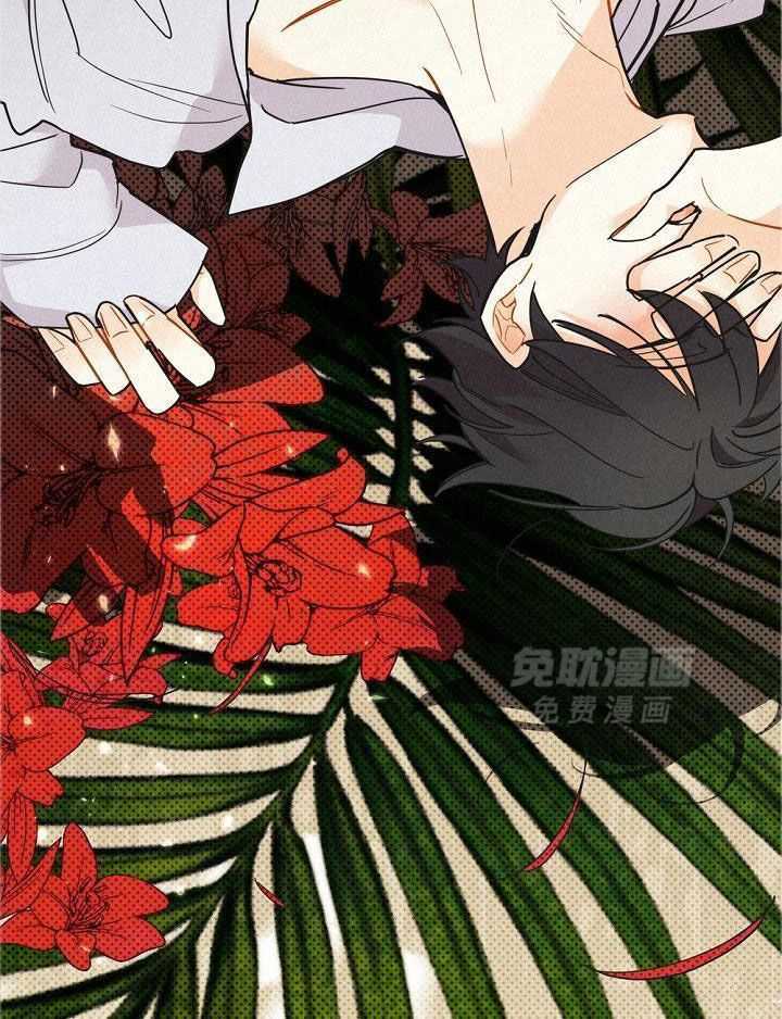 致命诱惑第31话图