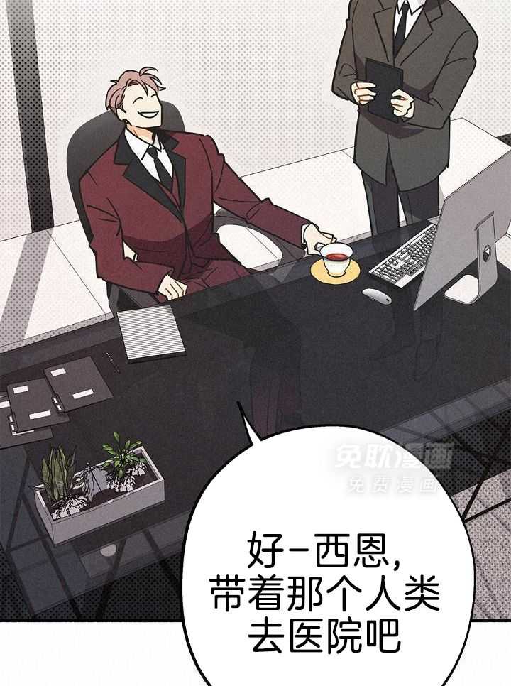 致命诱惑第35话图