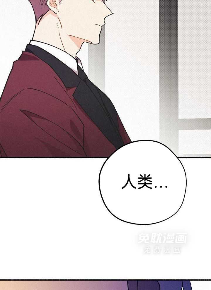 致命诱惑第36话图