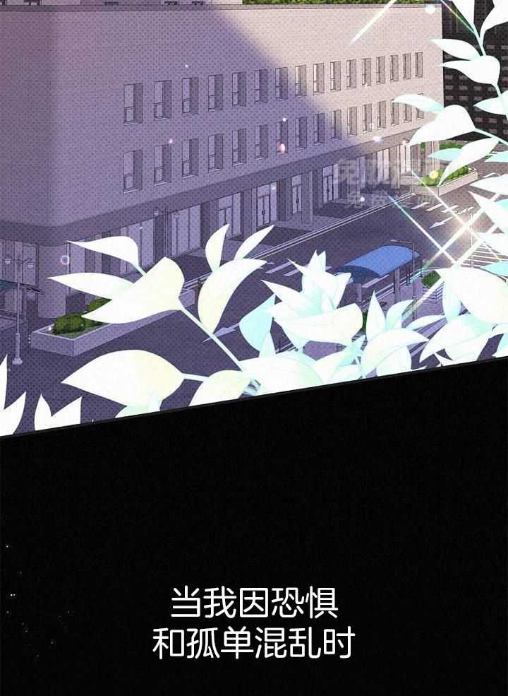 致命诱惑第39话图