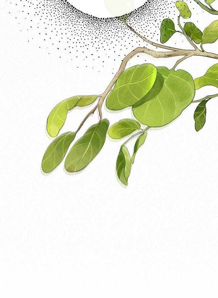 致命诱惑第44话图