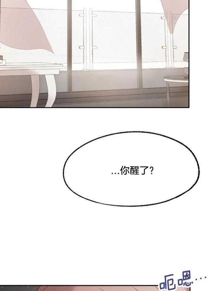 忠犬保镖第11话图