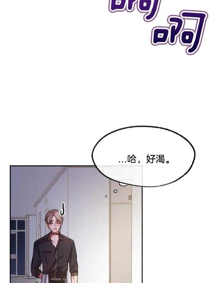 忠犬保镖第13话图