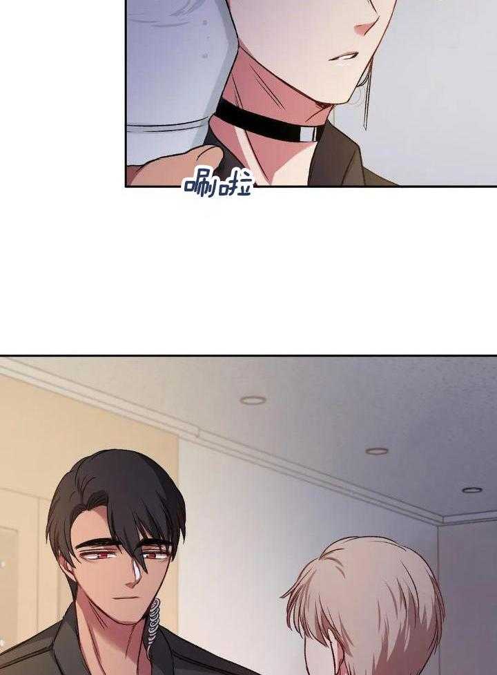 忠犬保镖第13话图