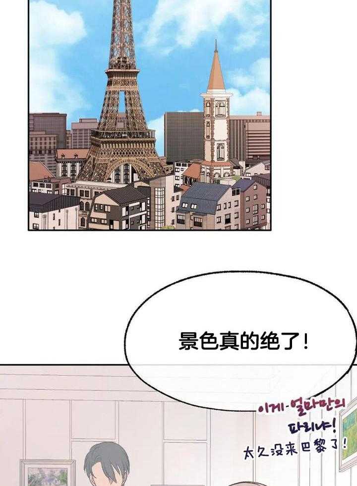 忠犬保镖第31话图