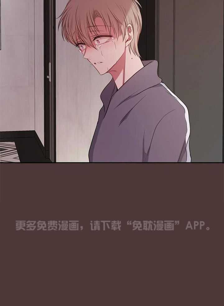 忠犬保镖第59话图