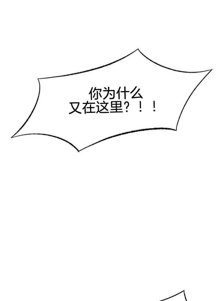 忠犬保镖第62话图
