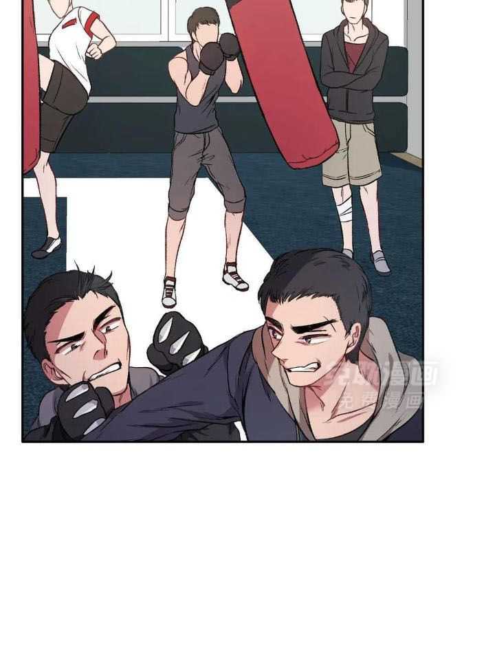 忠犬保镖第7话图