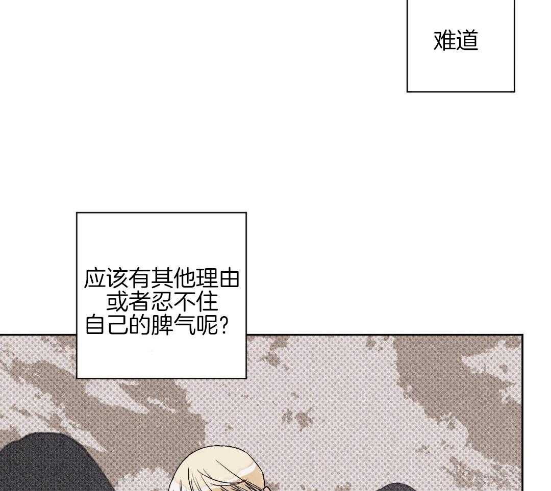 直击取向第12话图