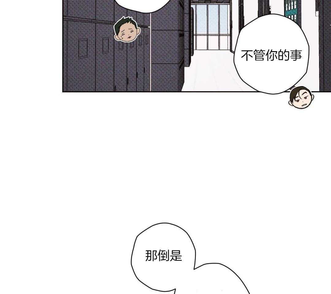 直击取向第15话图