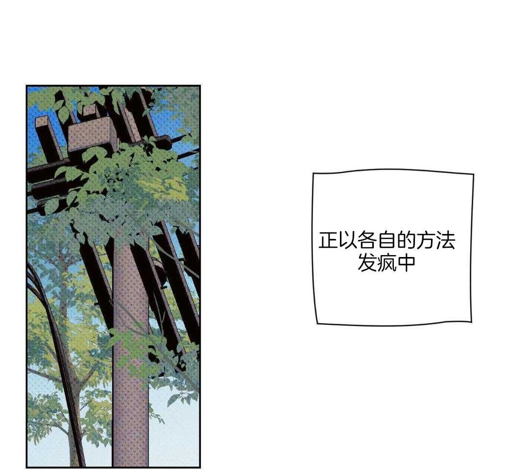 直击取向第16话图