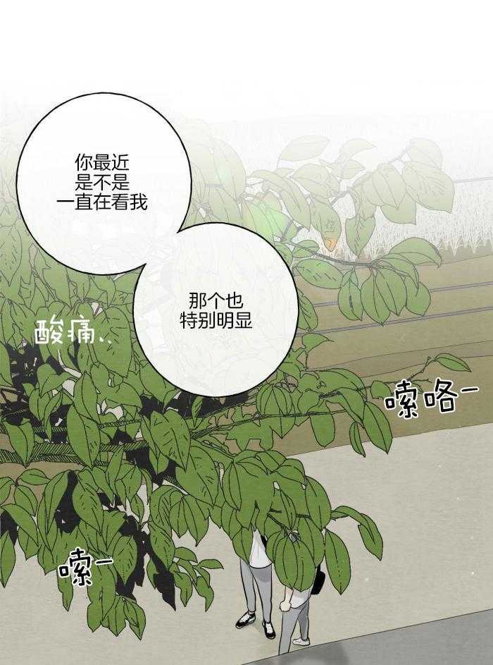 转校生的沙雕日常第12话图