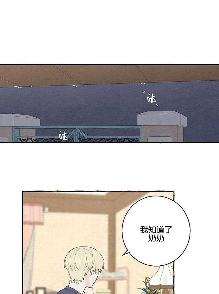 转校生的沙雕日常第25话图