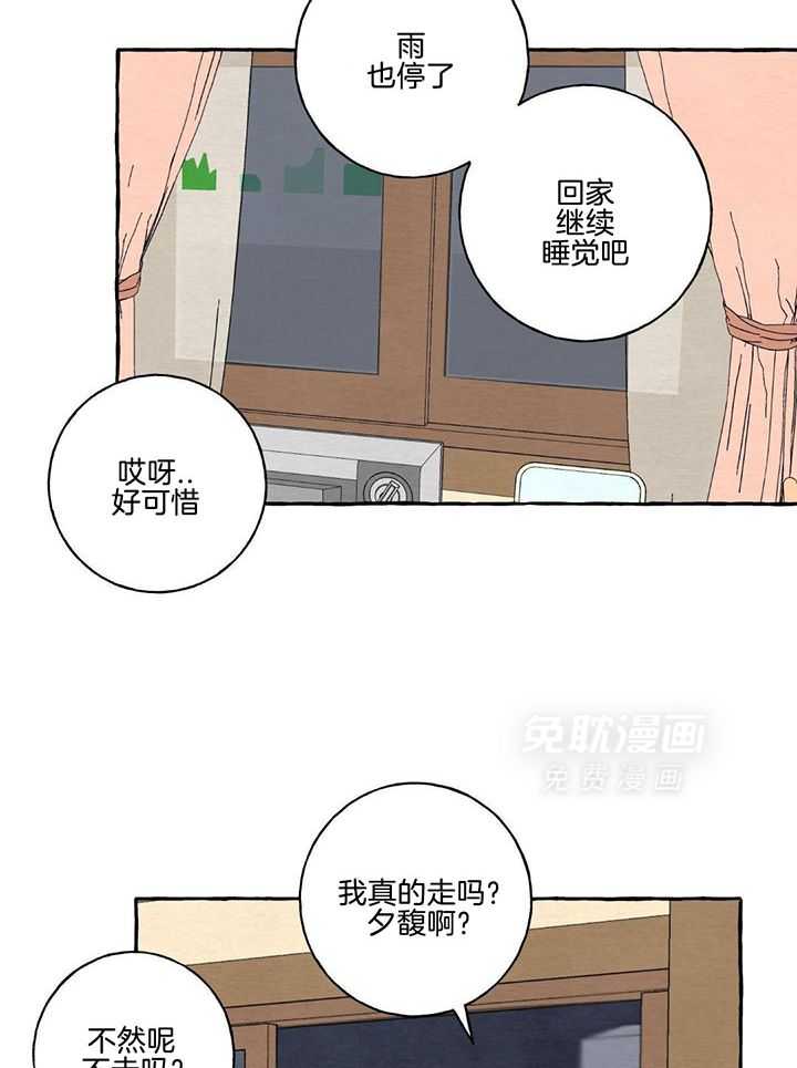 转校生的沙雕日常第25话图