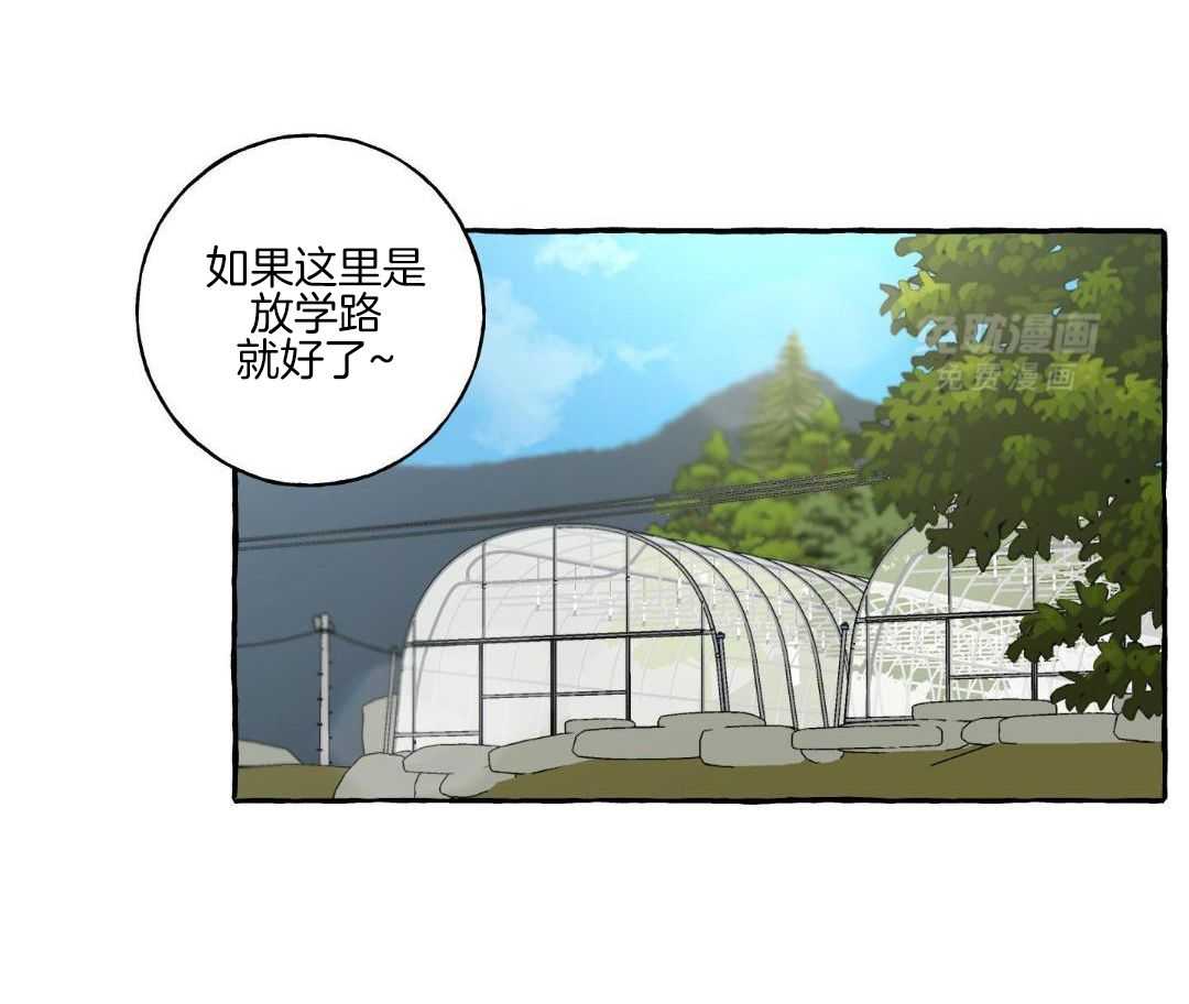 转校生的沙雕日常第39话图