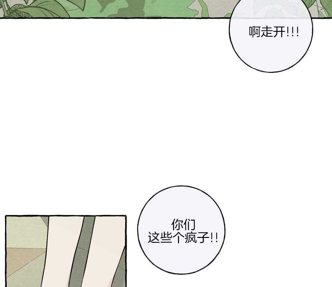 转校生的沙雕日常第44话图