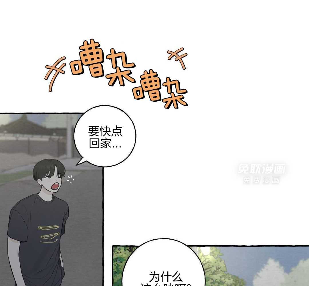 转校生的沙雕日常第48话图