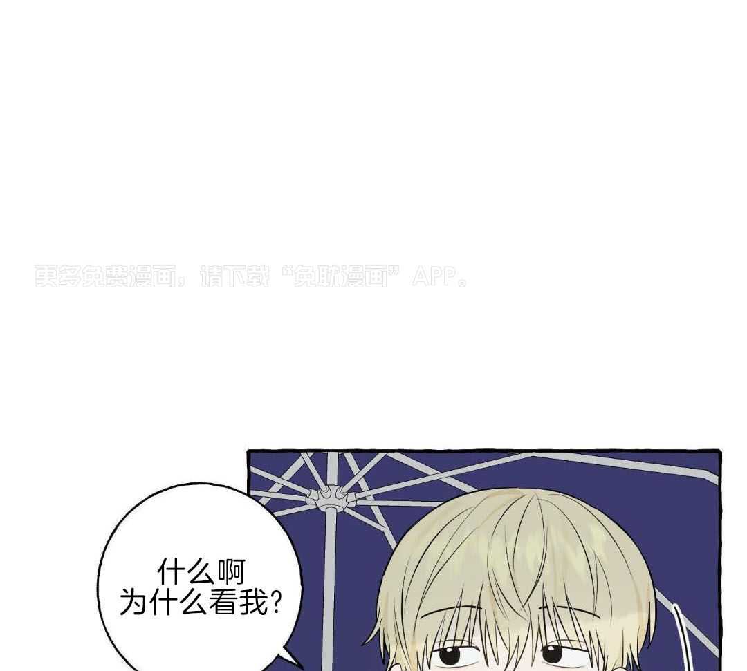 转校生的沙雕日常第50话图