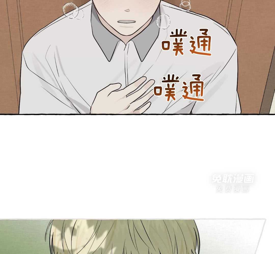 转校生的沙雕日常第51话图