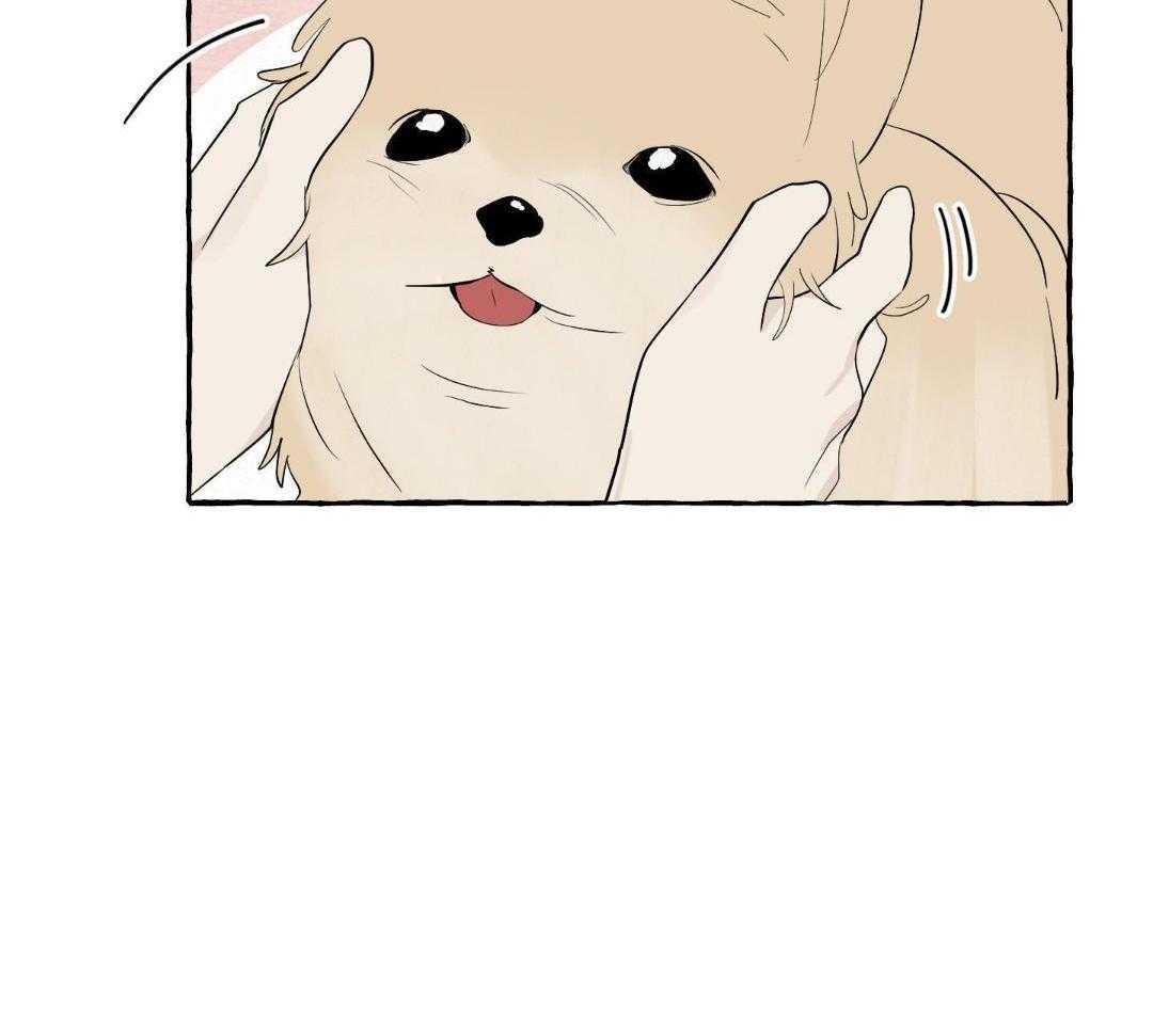 转校生的沙雕日常第52话图