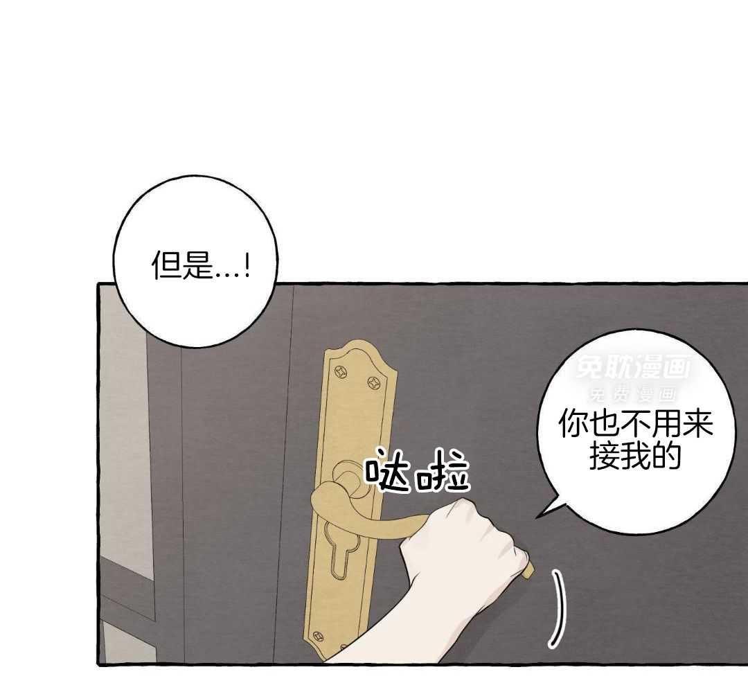 转校生的沙雕日常第55话图