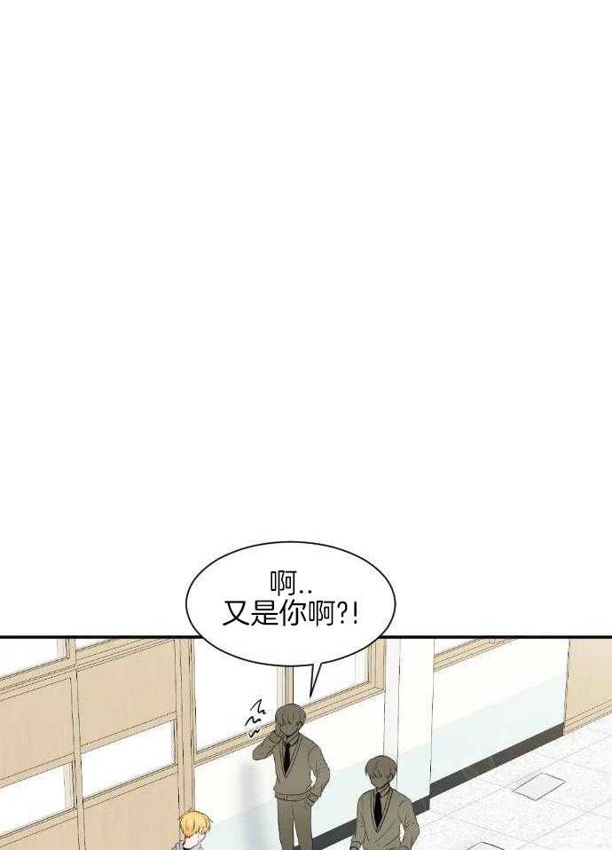 咫尺之间第55话图