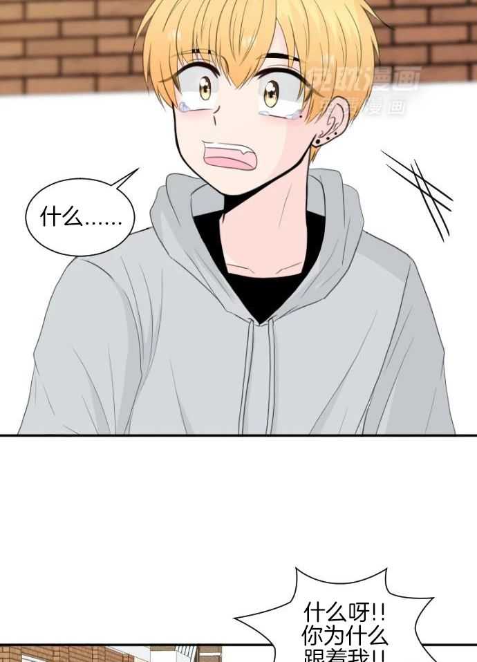 咫尺之间第57话图