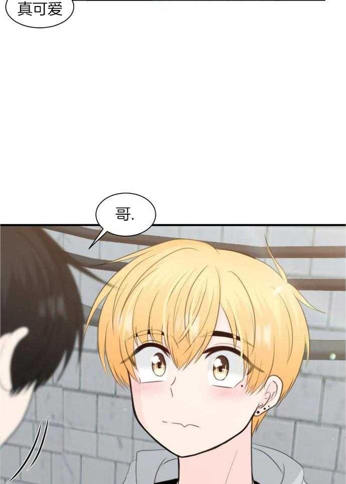 咫尺之间第66话图