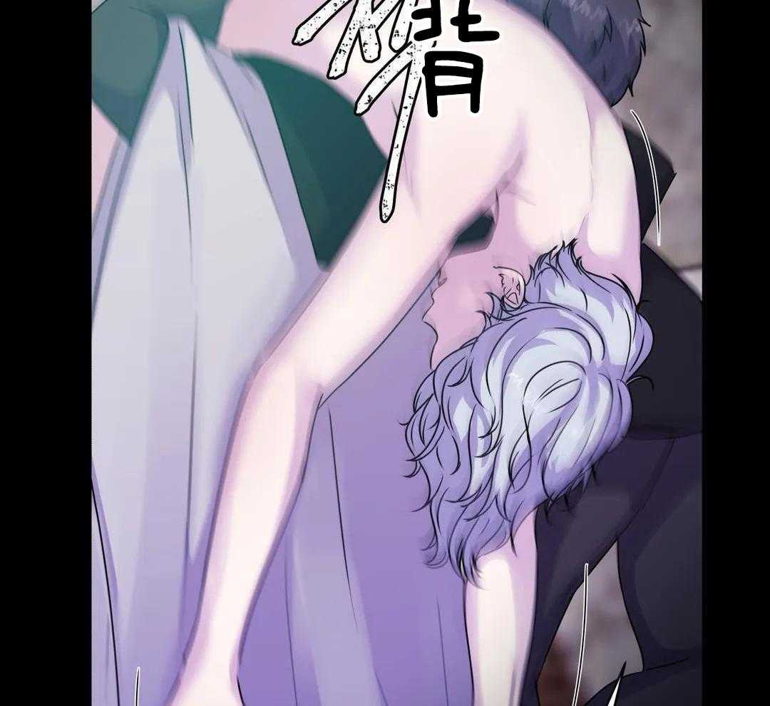 这个哨兵他碰瓷第2话图