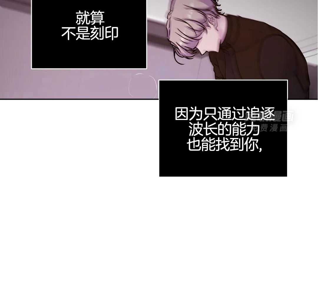 这个哨兵他碰瓷第28话图