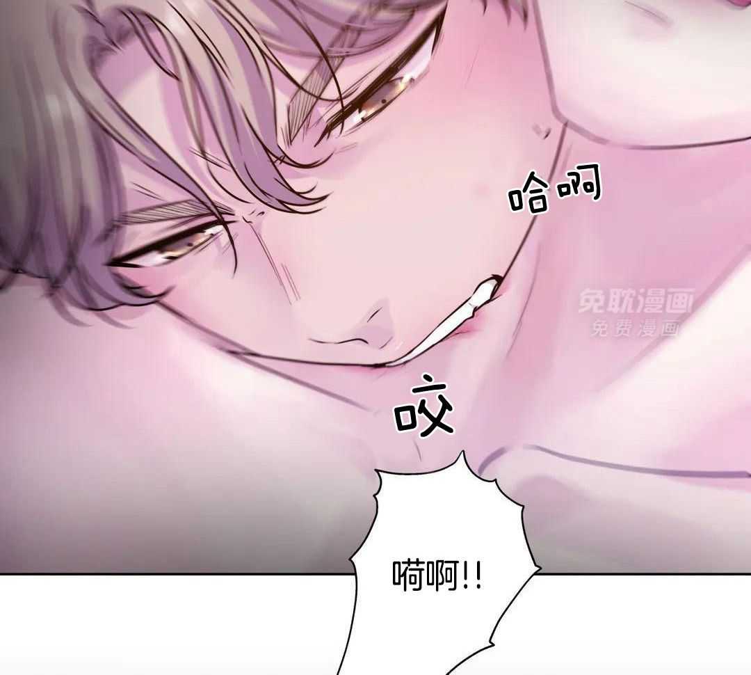 这个哨兵他碰瓷第28话图