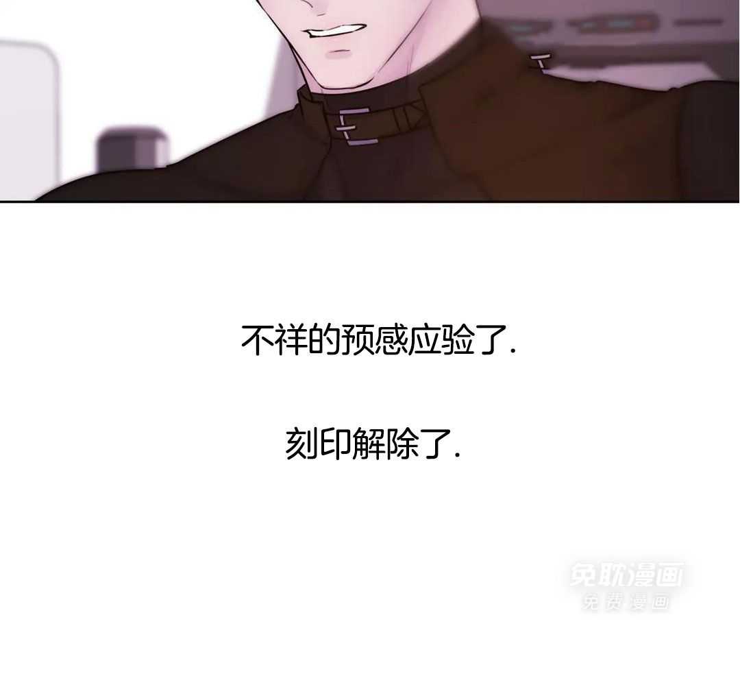 这个哨兵他碰瓷第28话图
