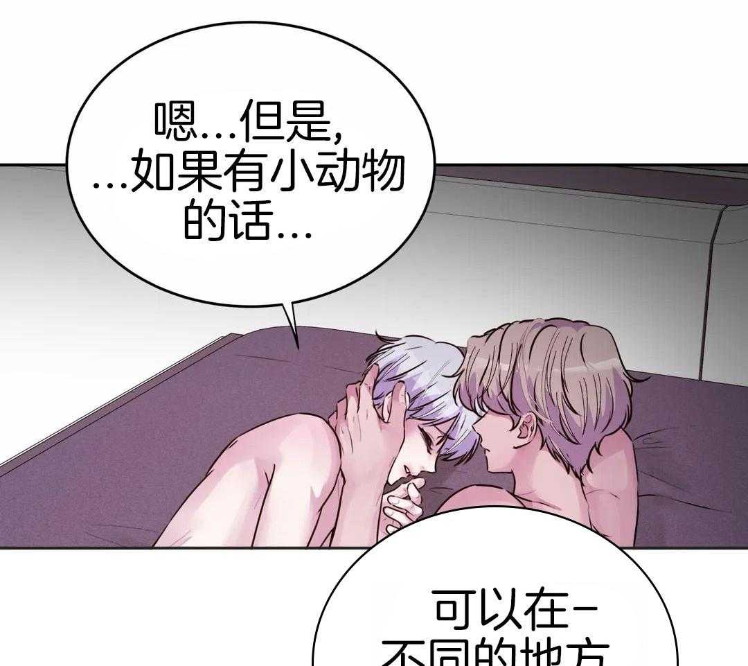 这个哨兵他碰瓷第33话图